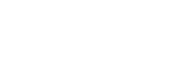 datafox_logo_white_small
